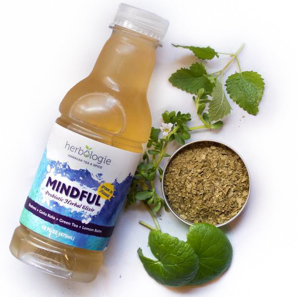 Mindful Fermented Herbal Elixir